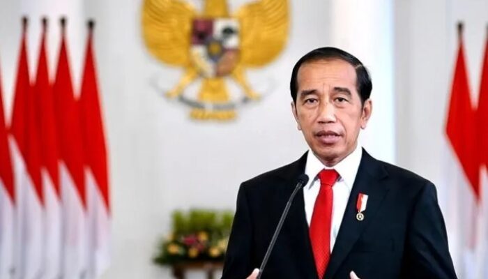 Jokowi Mendukung Pengawasan Asing Dalam Pembangunan Istana IKN Agar Tak Seperti SD Inpres