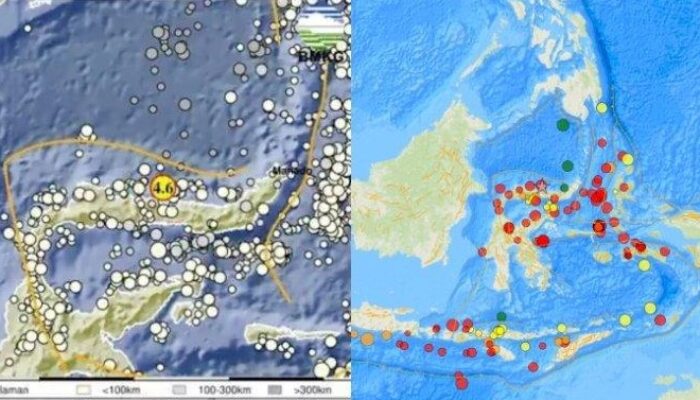 Wilayah Gorontalo Diguncang Gempa M 4,6