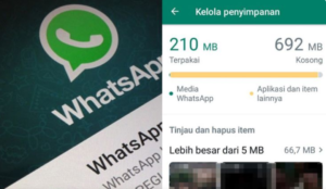 11 Cara Mengatasi WhatsApp Lelet Kembali Lancar Lagi