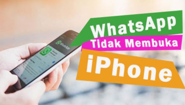 Cara Memperbaiki WhatsApp Tak Bisa Dibuka di iPhone